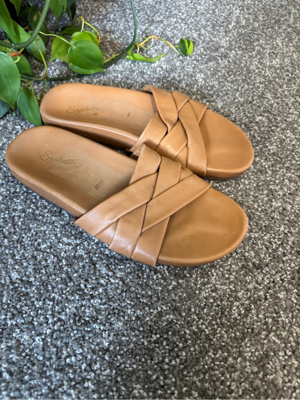 Seychelles Low Key Glow Up Slide | Size 8